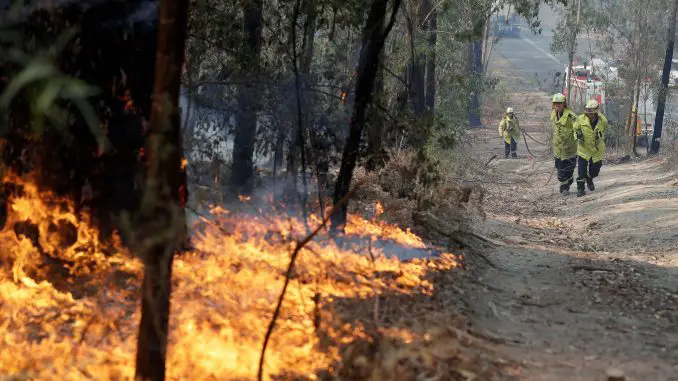 Many Species May Have Been Extinct By The Fires in Australia