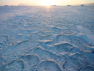 En rekordsmälta i Arktis