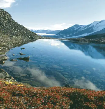 Arktiska alger visar klimatförändringar